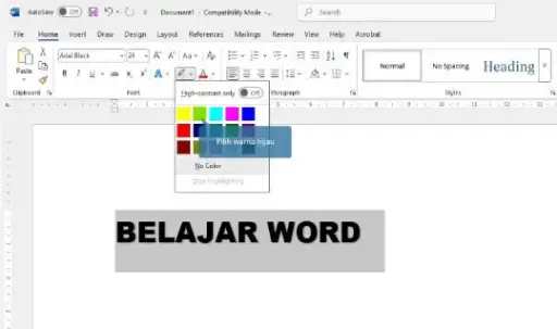 Word Basic Lv1 - Pengaturan Huruf/Font